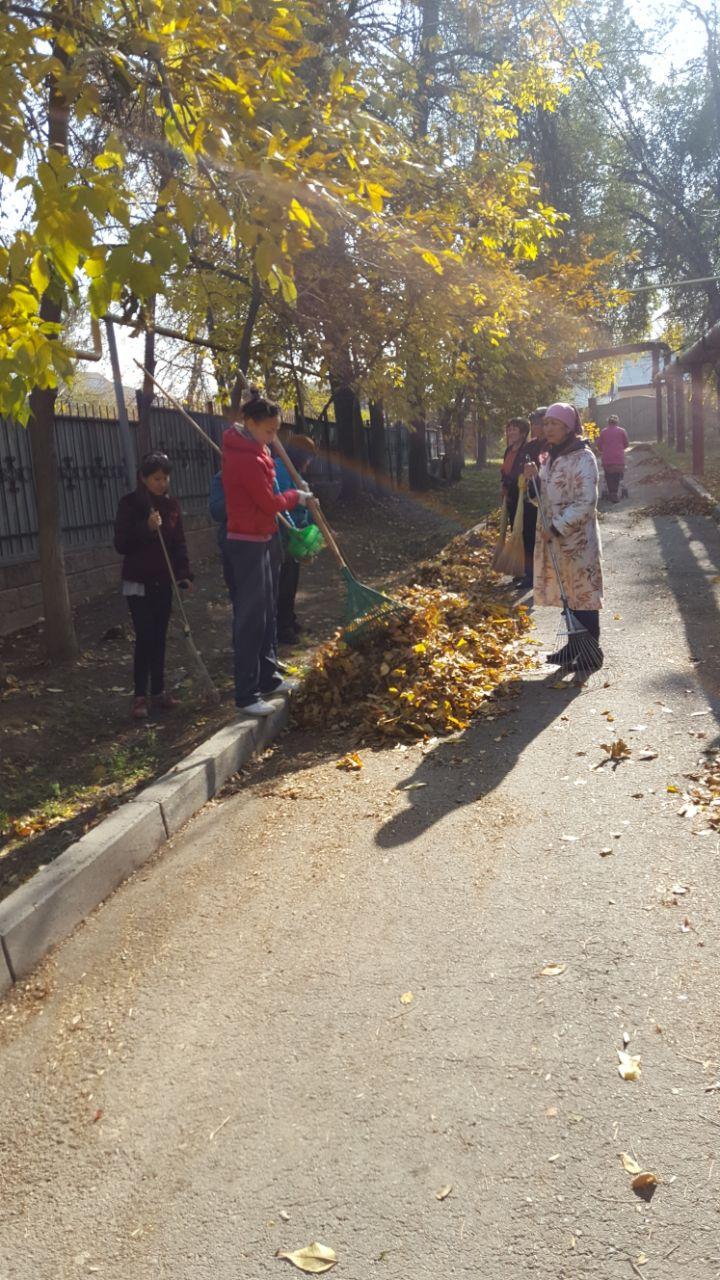 Балабақшадағы сенбілік