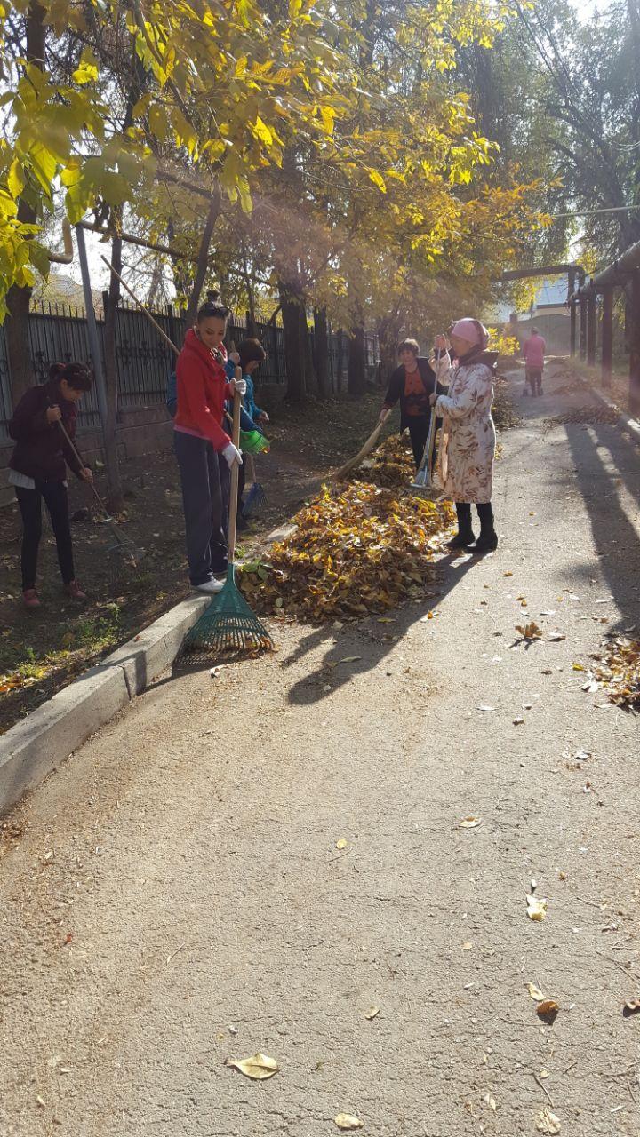 Балабақшадағы сенбілік